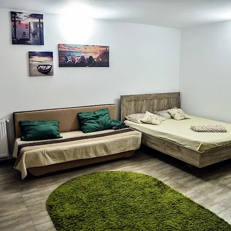 Apartment Garsoniera 1 Vila Tomis Sat Vacanta *